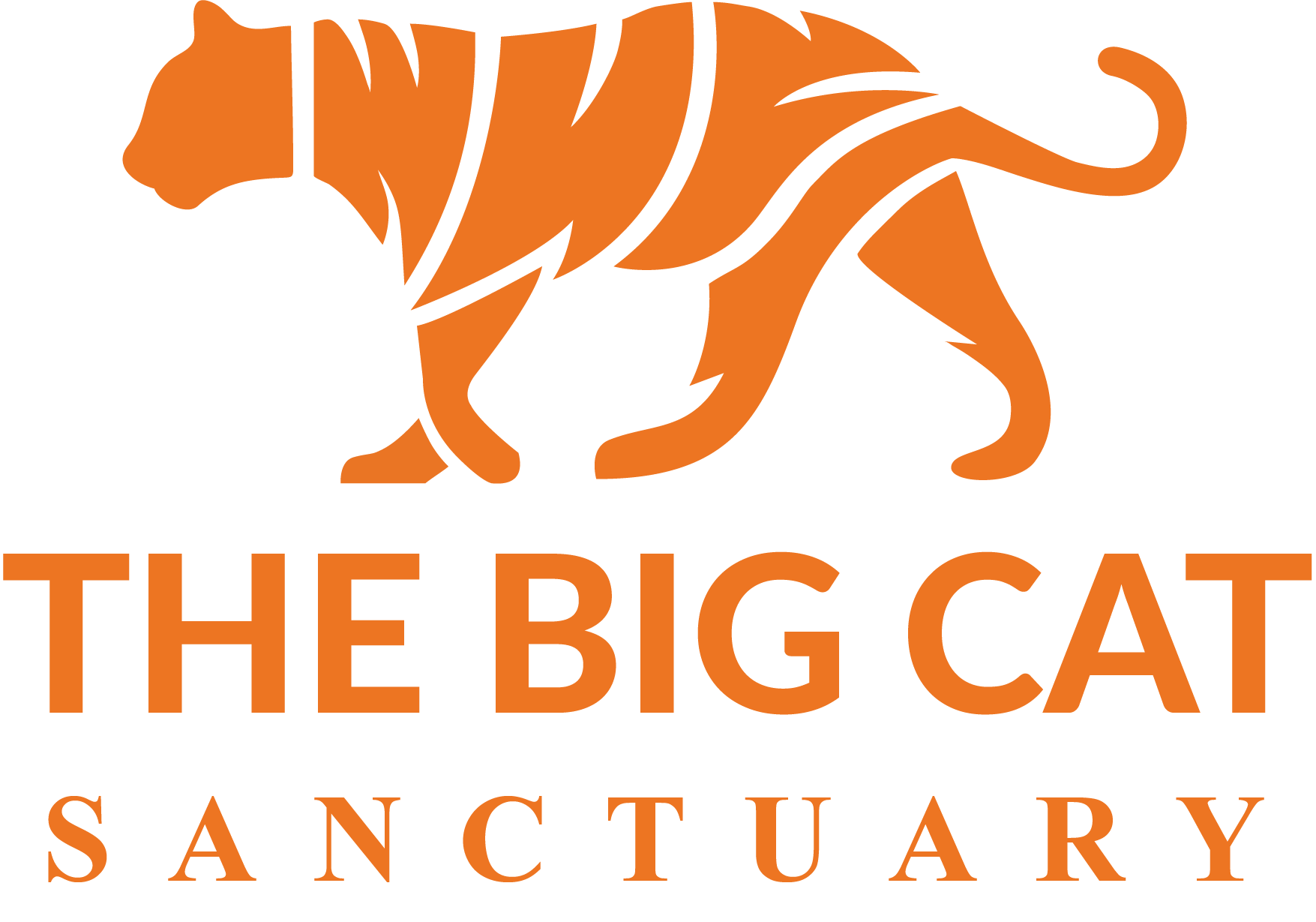 The Big Cat